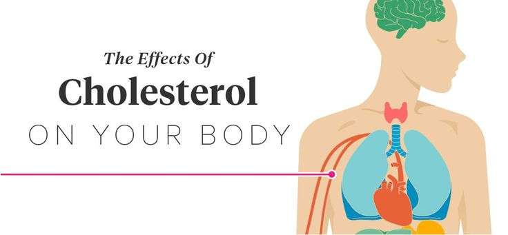 High cholesterol in your blood can interfere with blood flow throughout ...