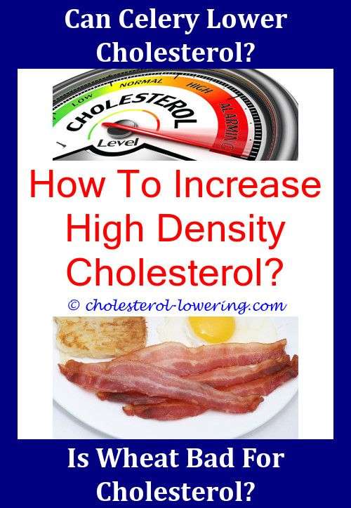 High Cholesterol Life Insurance