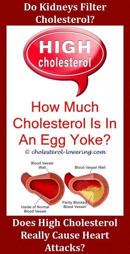 Highcholesterollevels What Causes Cholesterol To Be Elevated? How Do ...