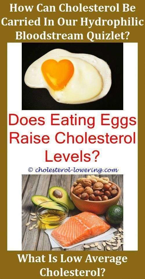 Highcholesterolmedication What Foods Raise Good Cholesterol Levels? Can ...