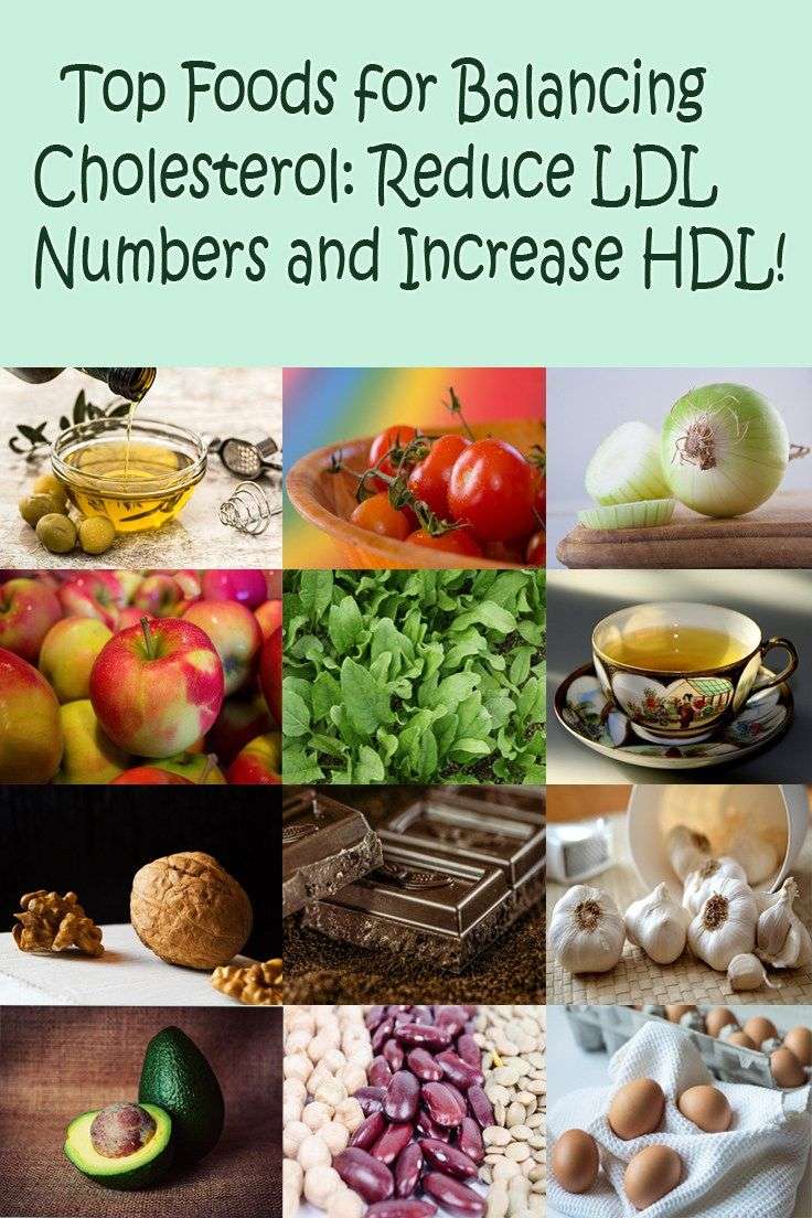 How do i raise my hdl good cholesterol numbers, MISHKANET.COM