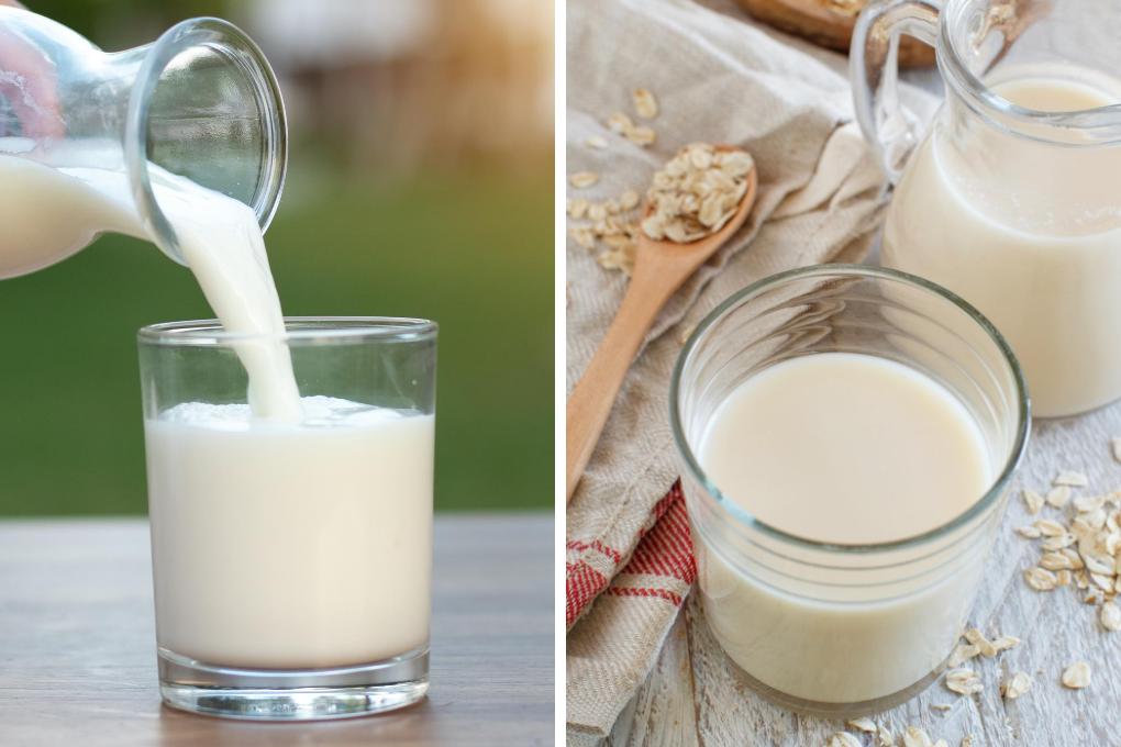 How Does Oat " Milk"  Compare to Dairy Milk?