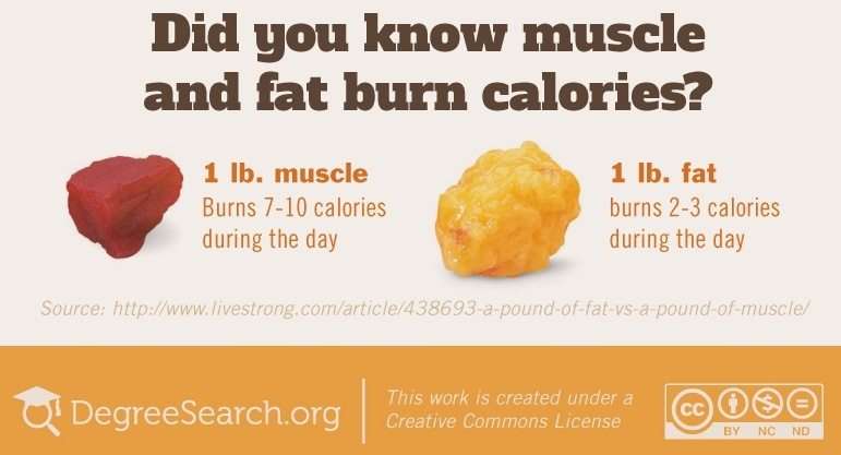 How does stored fat leave your body when you burn it off?