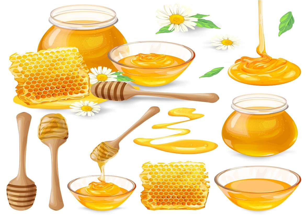 How honey reduce cholesterol?
