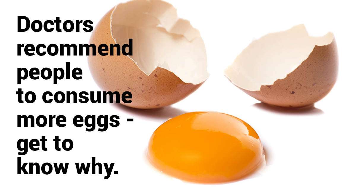 How Many Calories an Egg Has? And Why You Are supposed to ...