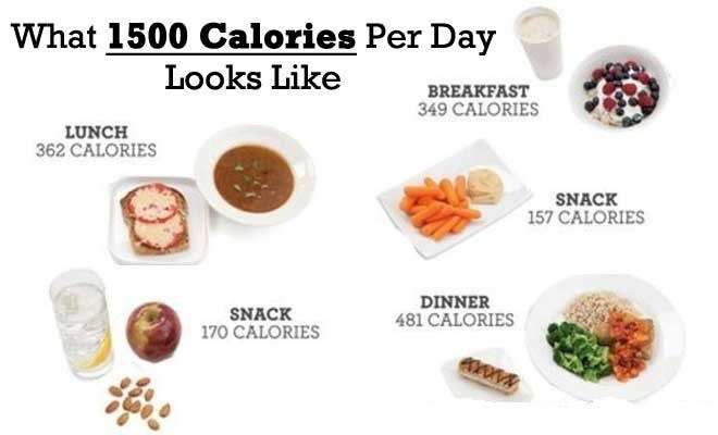 How Many Calories Should I Eat A Day To Lose Weight?