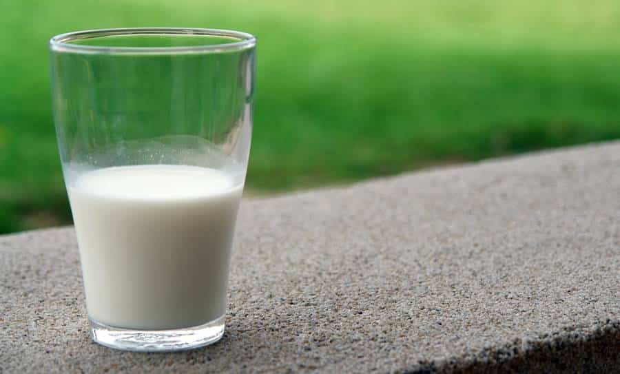 How Much Cholesterol In Milk?