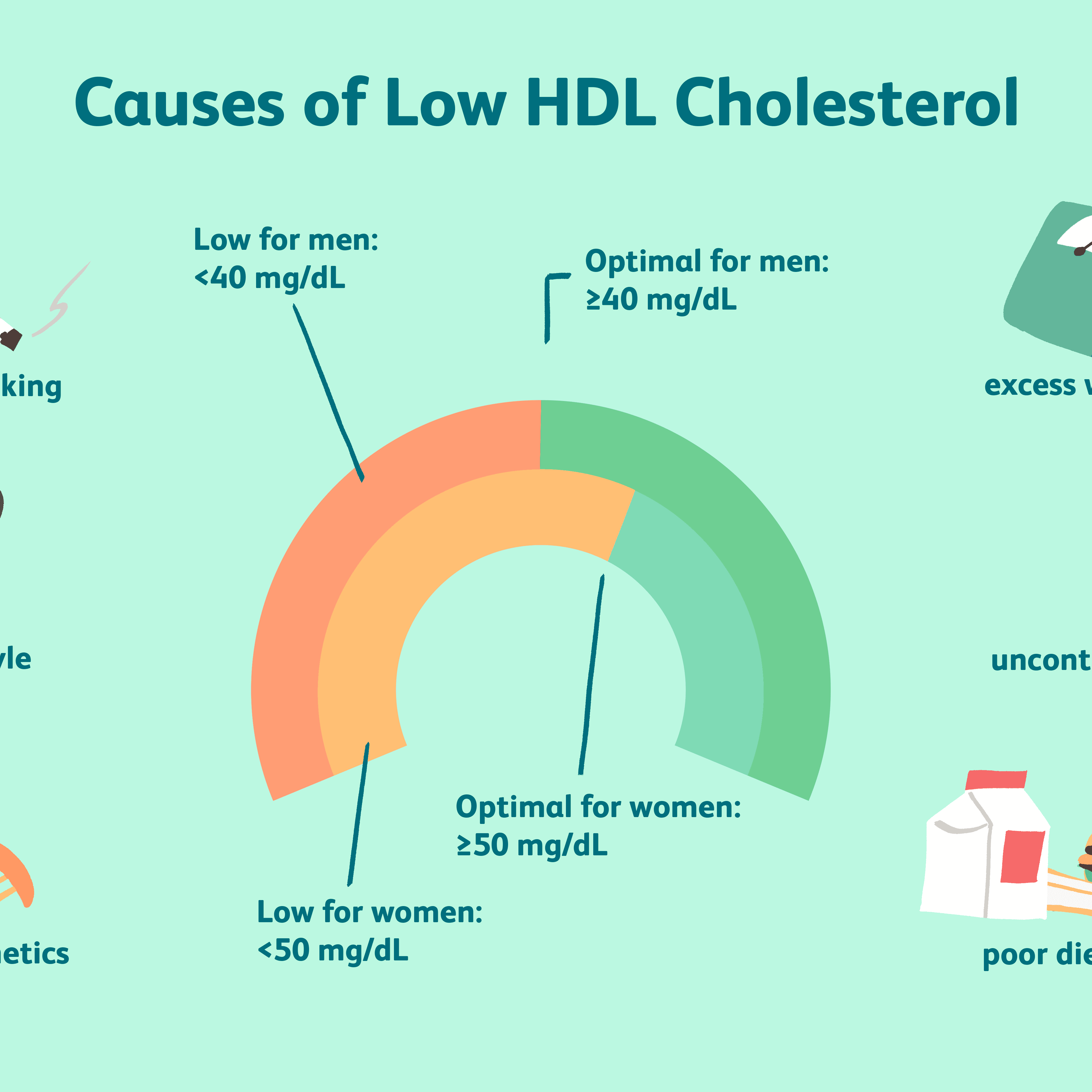 How much hdl cholesterol is normal  Health News