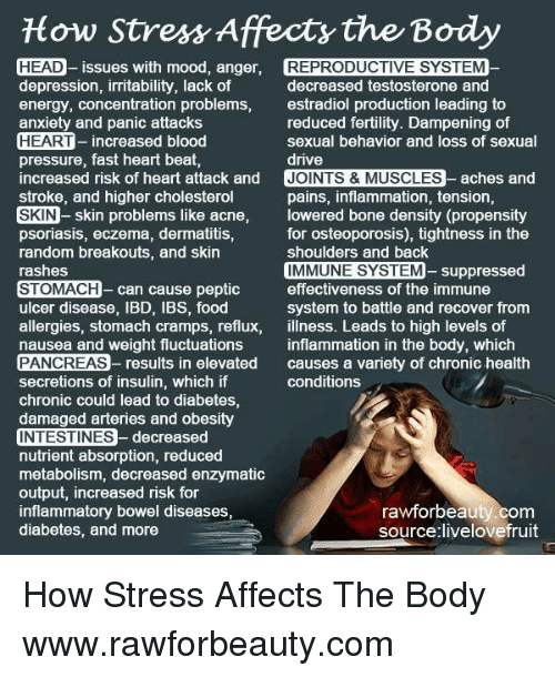 How Stress Affects the Body O