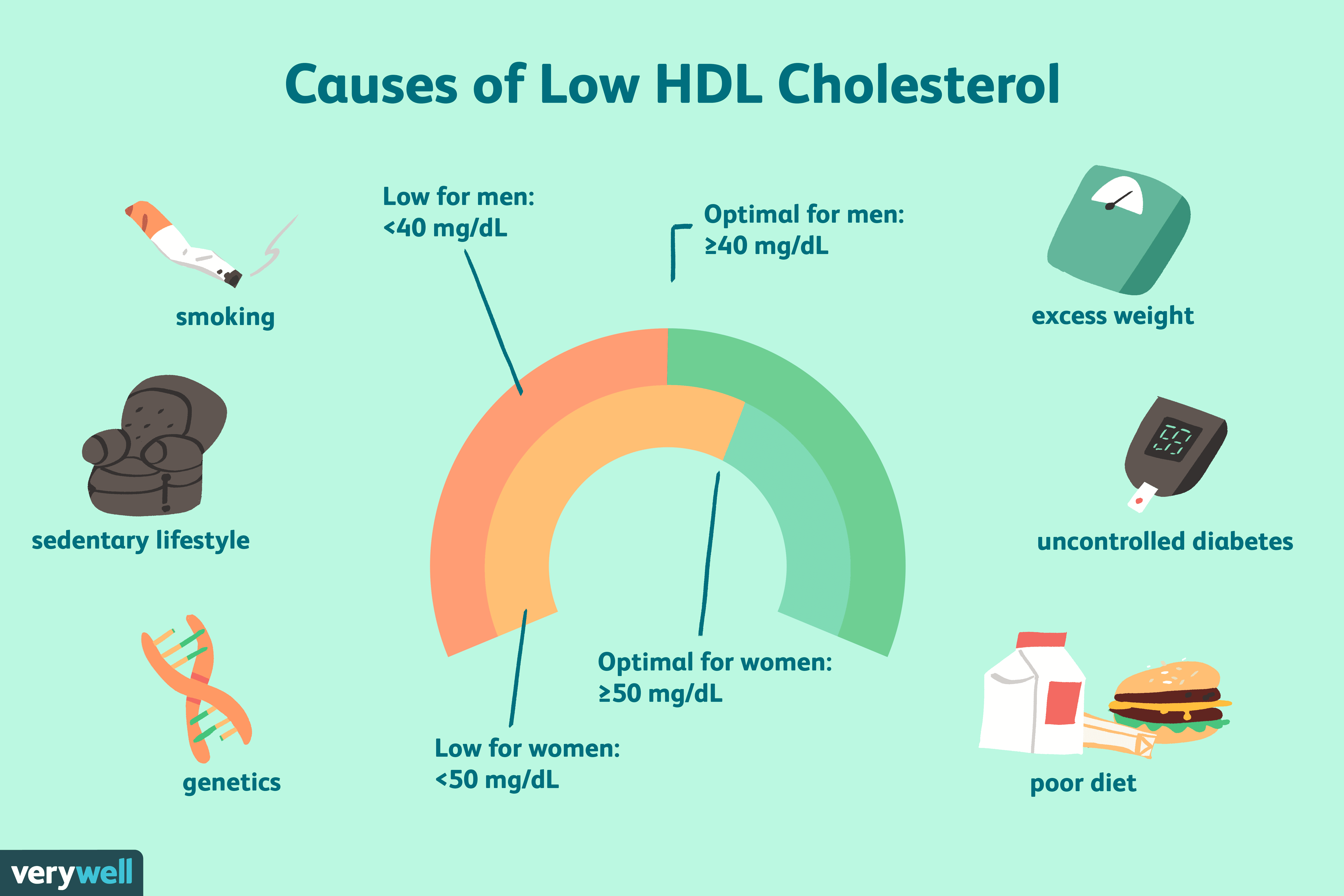 How To Lower Your Bad Cholesterol