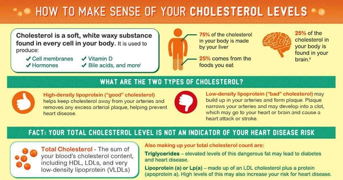 How to Make Sense of Your Cholesterol Level Infographic # ...