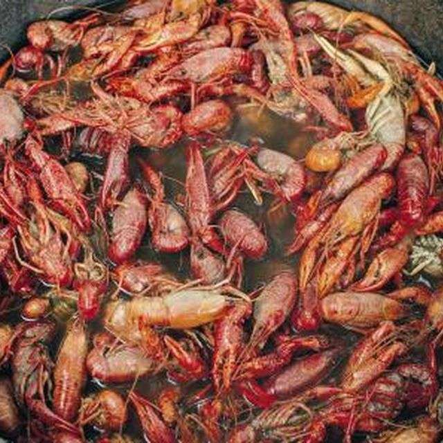 How to Raise Crawfish for Food