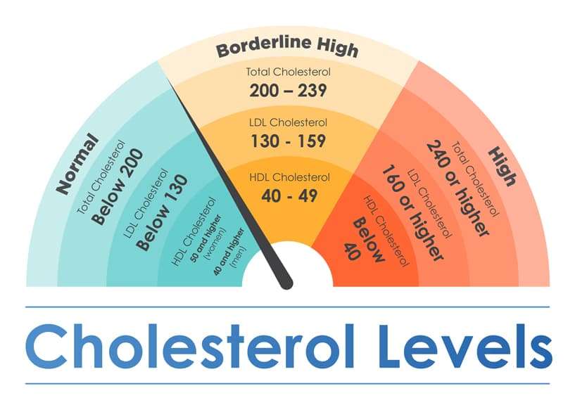 How to Reduce Cholesterol to A Healthy Level in Seniors ...