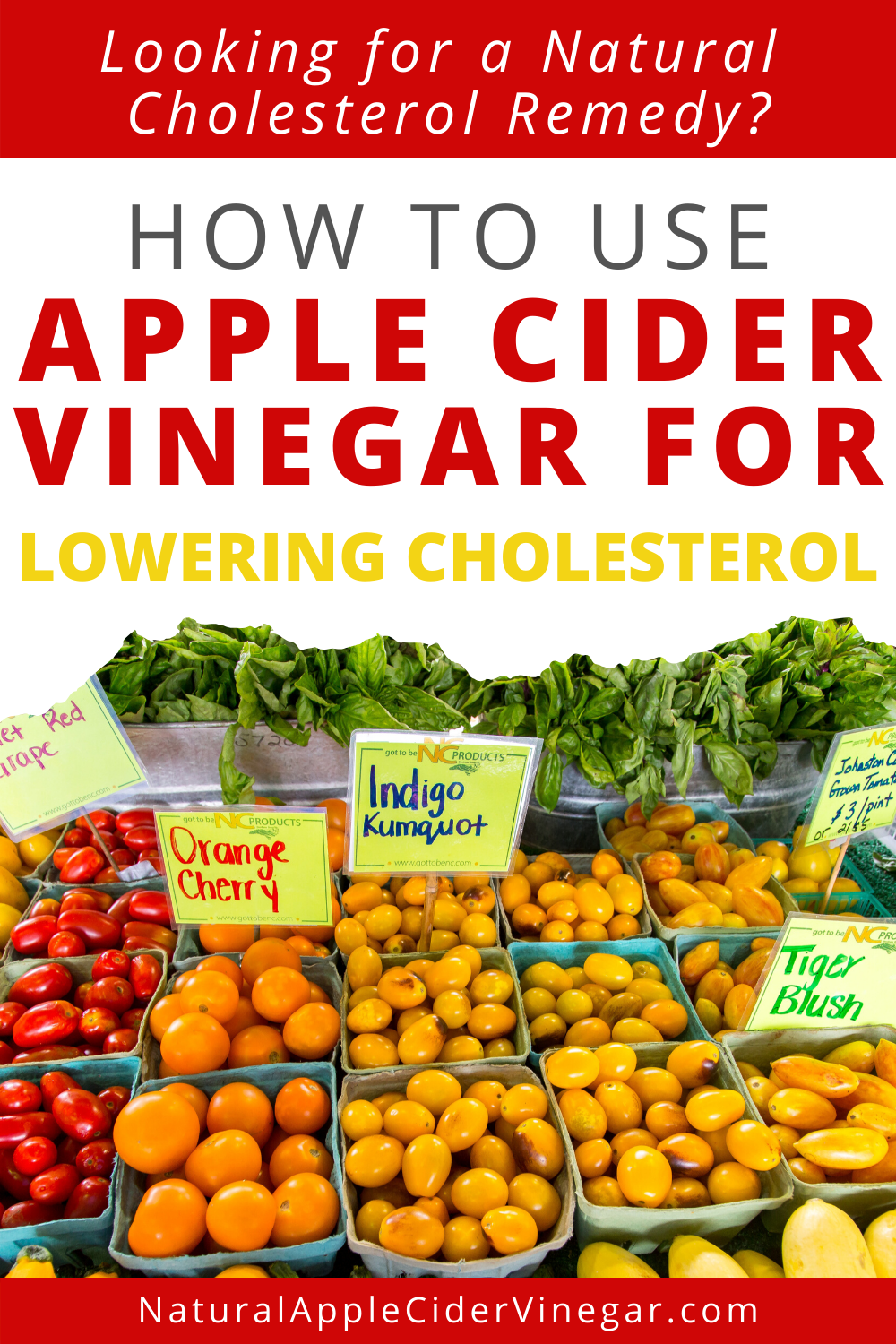 How to Use Apple Cider Vinegar for Lowering Cholesterol ...