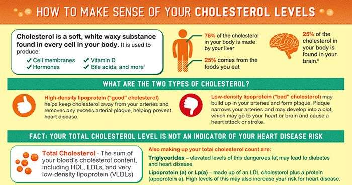Image result for what is normal cholesterol level ...