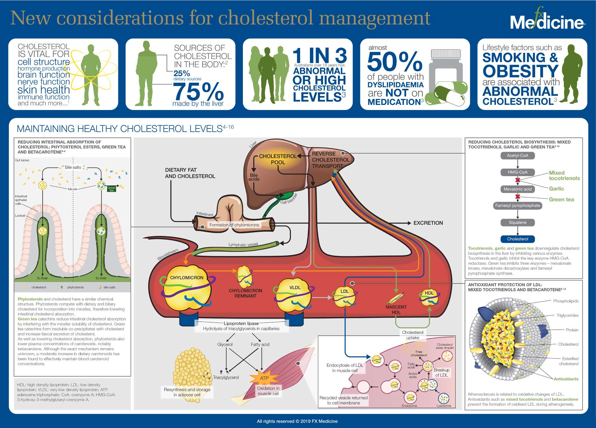 INFOGRAPHIC: New Considerations for Cholesterol Management
