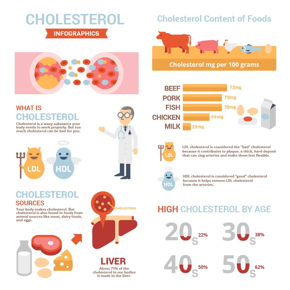 Is Cholesterol Good Or Bad For Your Health? Infographic  NaturalON ...