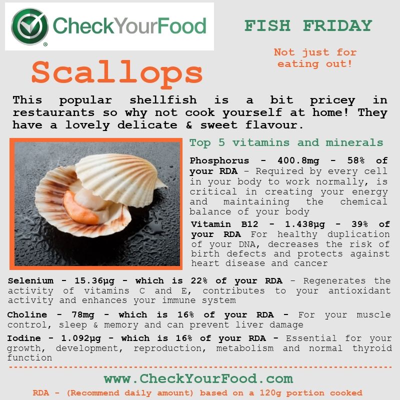 Is Scallops High In Cholesterol