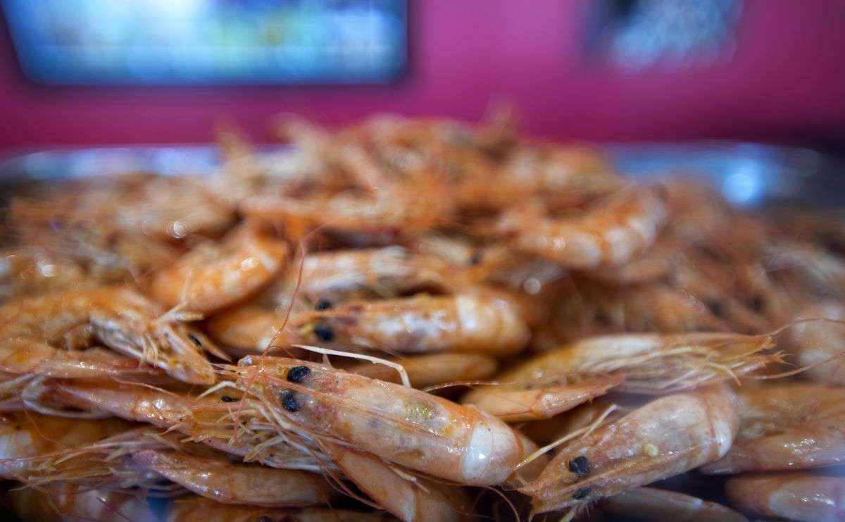 Is shrimp high in cholesterol  and if so, is it healthy ...
