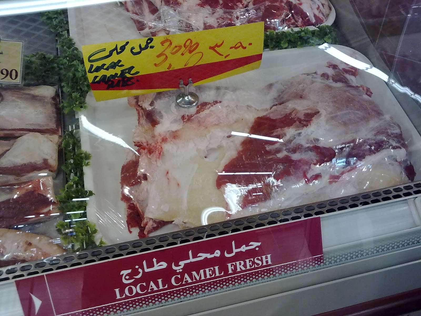 Kuweight 64: CAMEL MEAT