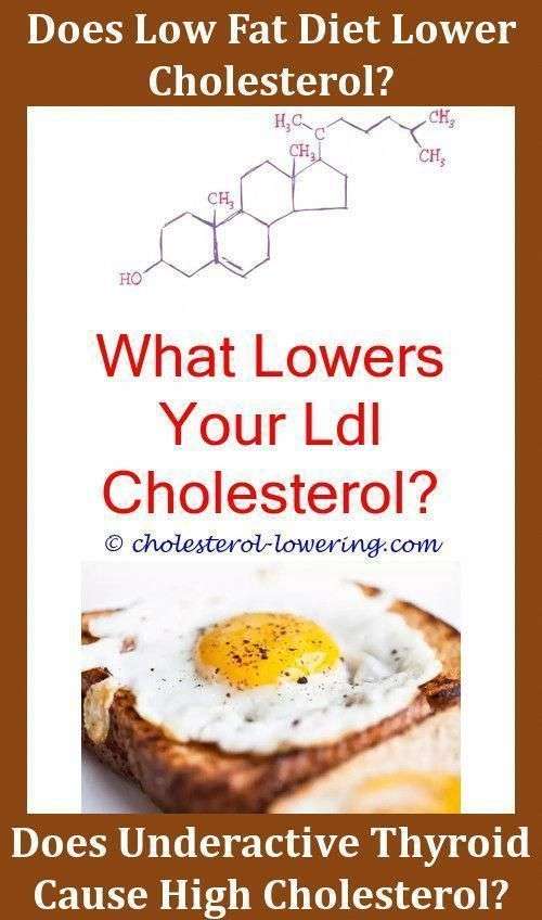 Ldlcholesterol What Causes Bad Cholesterol To Increase ...