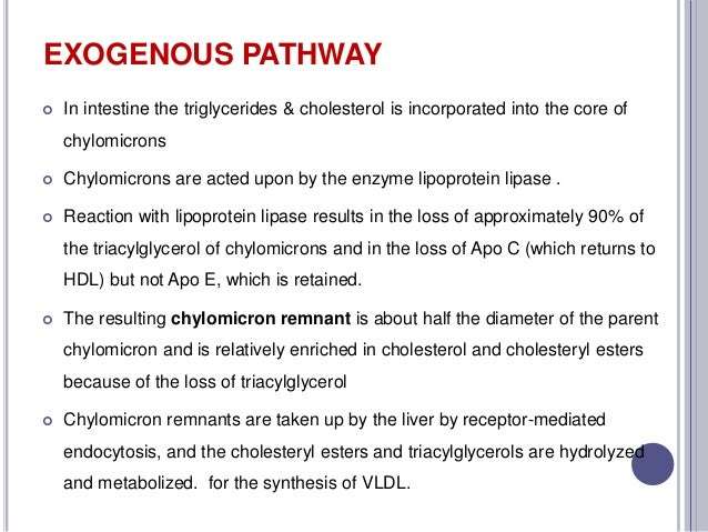 Lipid metabolism and Hypolipidemics