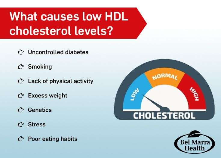 Low HDL Cholesterol Causes and Lifestyle Changes to Boost HDL Levels ...