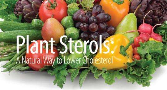 Lower Your Cholesterol with Plant Sterols