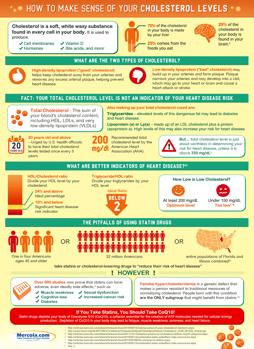 Make Sense of Your Cholesterol Levels Infographic