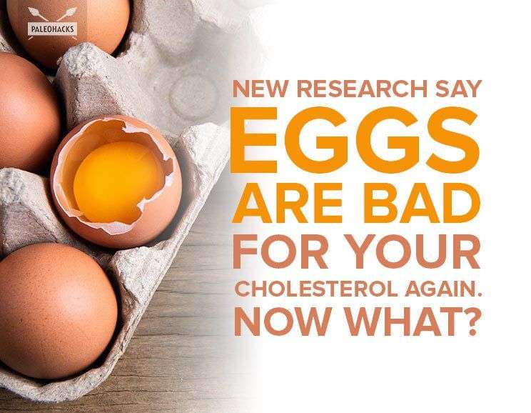 New Research Say Eggs Are Bad for Your Cholesterol Again ...