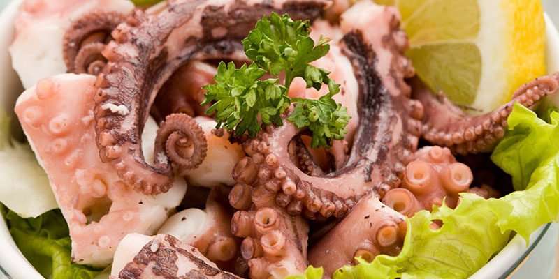 Octopus Nutrition Information  Health and Stuff