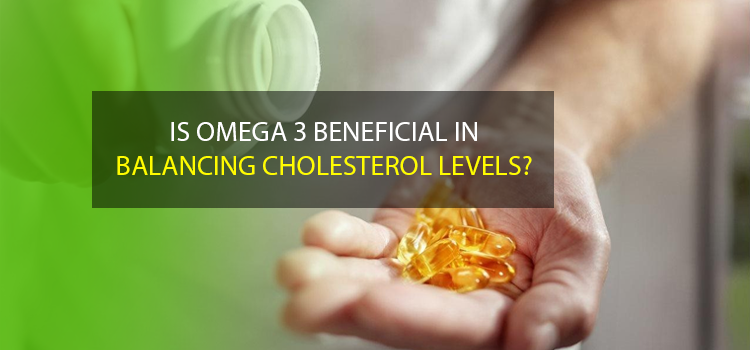 Omega 3 Beneficial in Balancing Cholesterol Levels