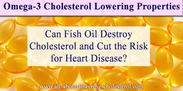 Omega 3 Cholesterol  Can Fish Oil Destroy Cholesterol?