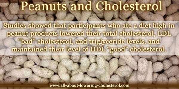 Peanuts And Cholesterol  Do Peanuts Lower Cholesterol?