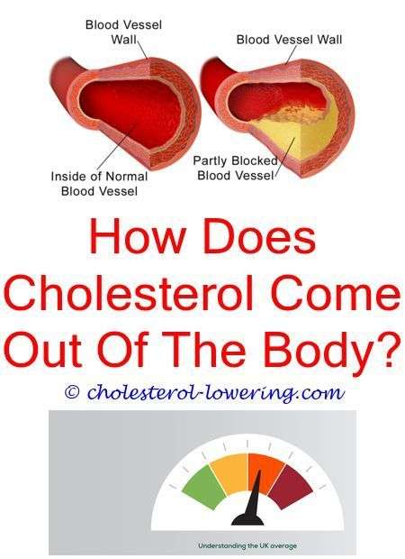 Pin on Cholesterol Controlling Foods