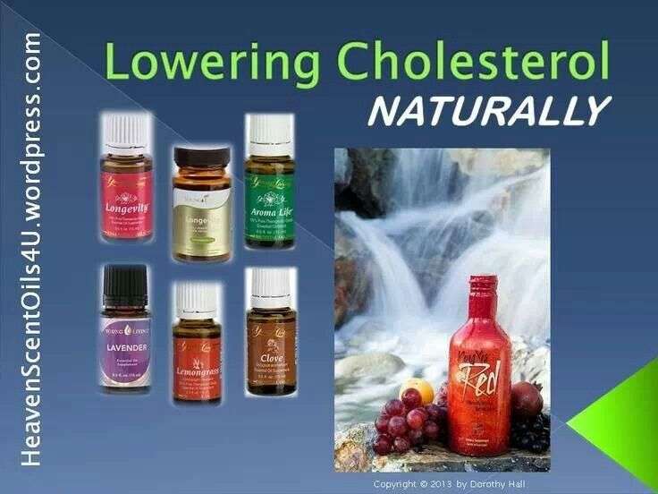 Pin on Cholesterol Lowering Supplement