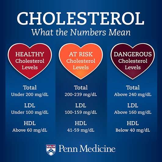 What Is Considered High Cholesterol HealthyCholesterolClub