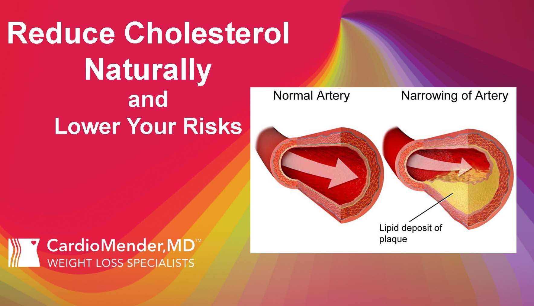 Reduce Cholesterol Naturally using Plant Sterols and Stanols ...