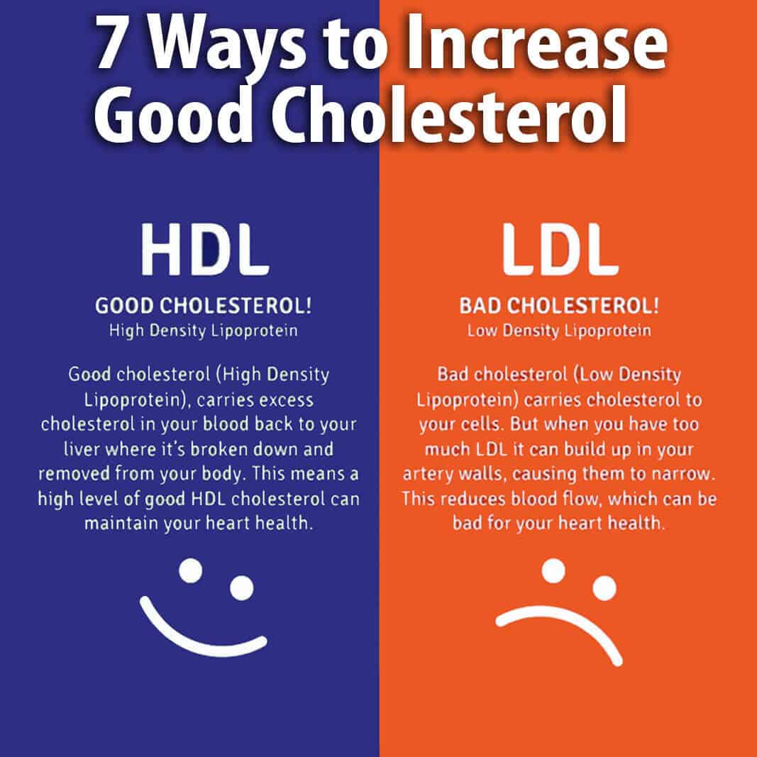 Seven Ways to Increase the Good HDL Cholesterol