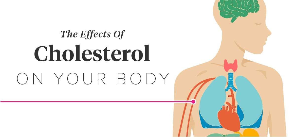 The Effects of Cholesterol on the Body