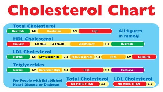 Total Cholesterol Levels Be Too Low, You Must Check its