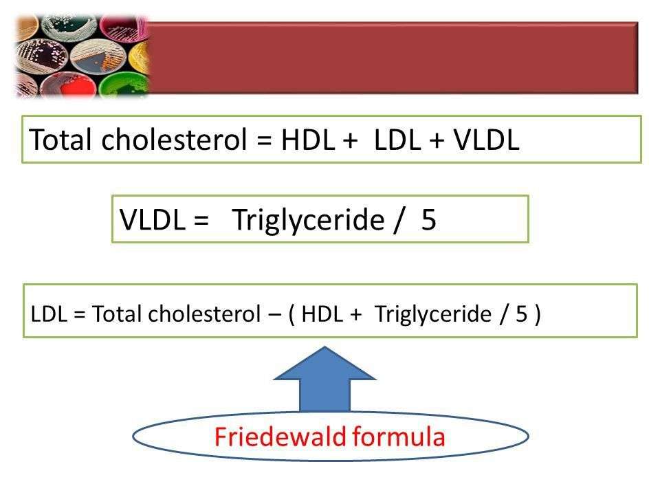 Triglyceride To Hdl Ratio Calculator