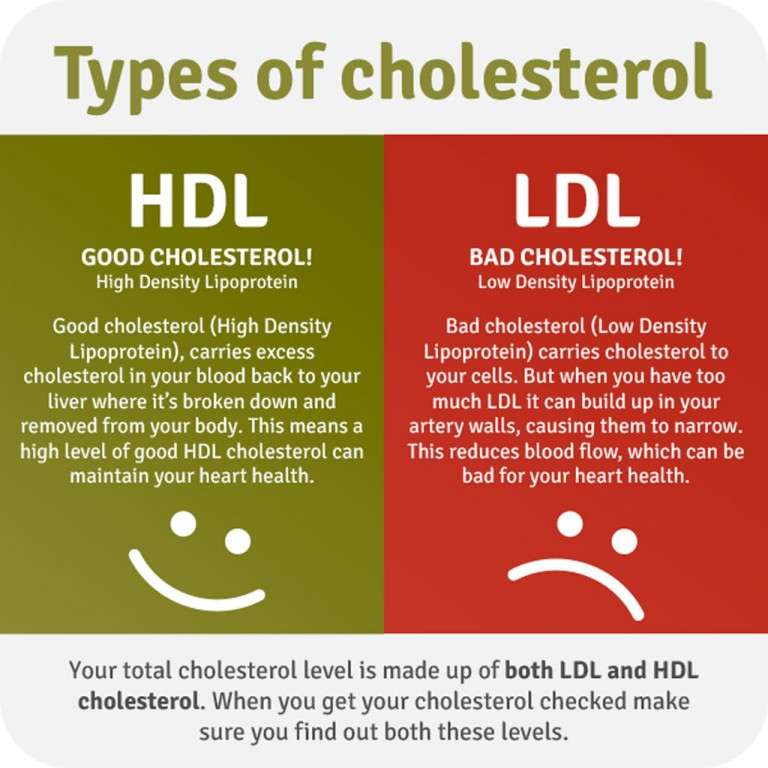 Understanding Cholesterol : CCE Suffolk County Family Health &  Wellness ...