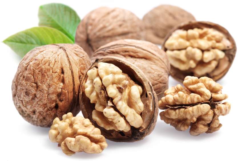 Walnuts Reduce Cholesterol and Protect Against Heart Disease in Elderly