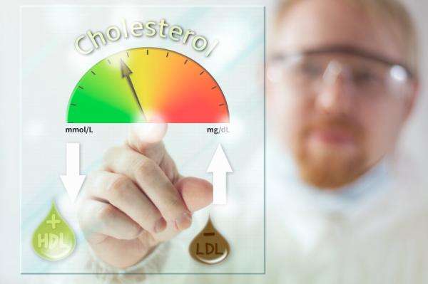 What Are Normal Cholesterol Levels