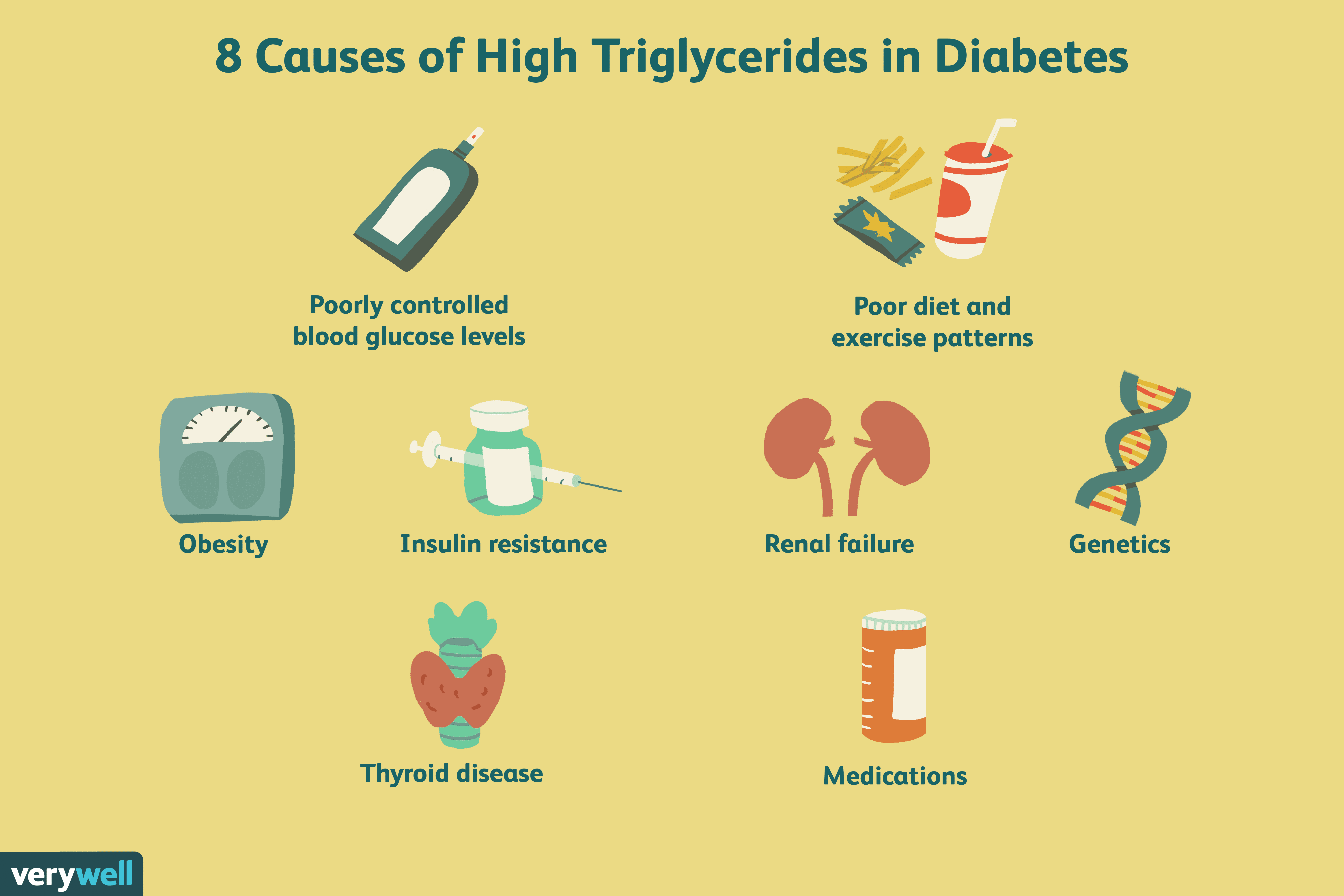 What causes high cholesterol and triglycerides  Health Blog