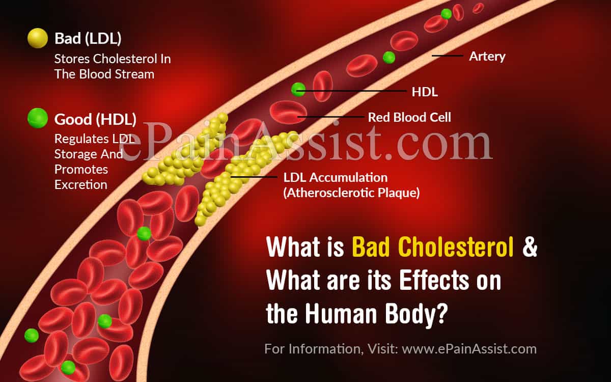 What is Bad Cholesterol and What are its Effects on the Human Body?