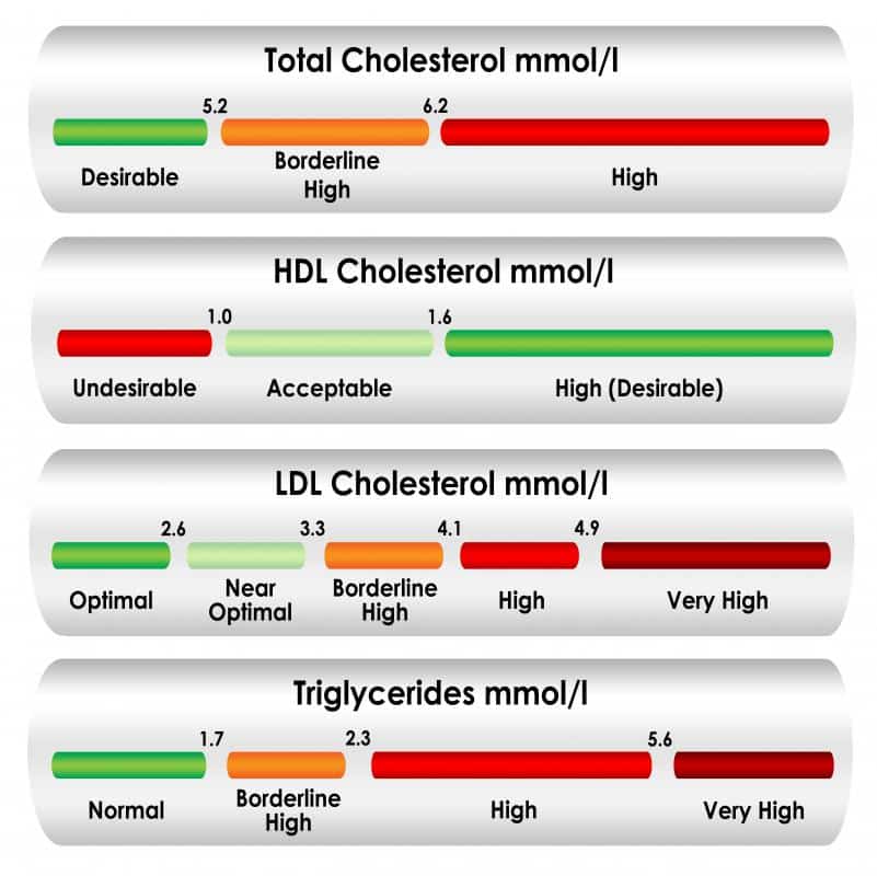 What is HDL Cholesterol? (with pictures)