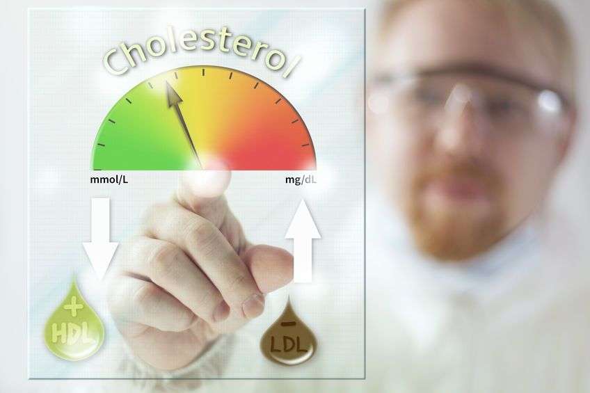What Should Your Cholesterol Really Be? Actually Everyone ...