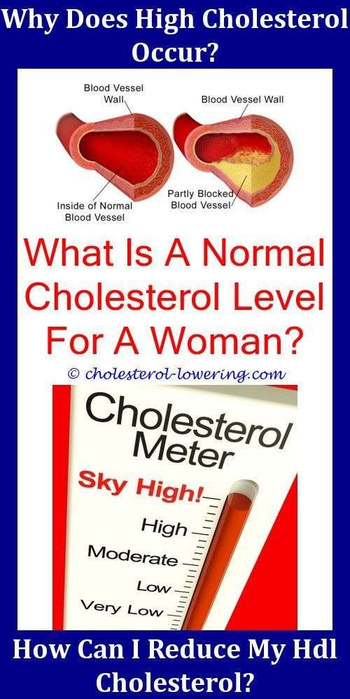 Whatischolesterol Why High Cholesterol Level For Animal ...